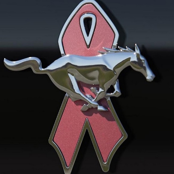 Meet your Posher, Gabriel - Picture 2 of 3